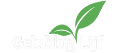 light logo